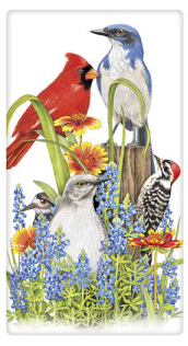 Texas Birds