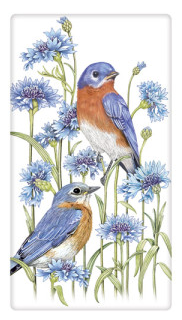 Meadow Bluebird