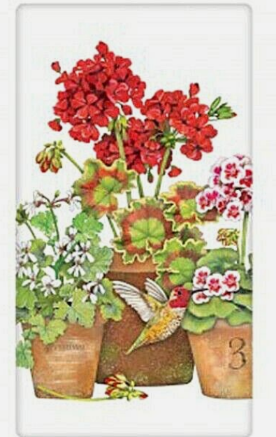 Geranium Hummingbird